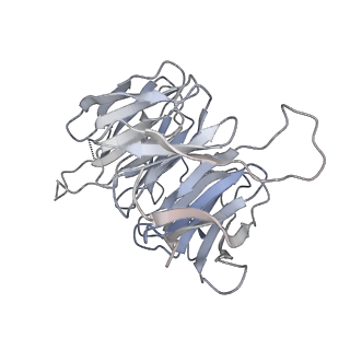 2764_3j80_g_v1-3
CryoEM structure of 40S-eIF1-eIF1A preinitiation complex