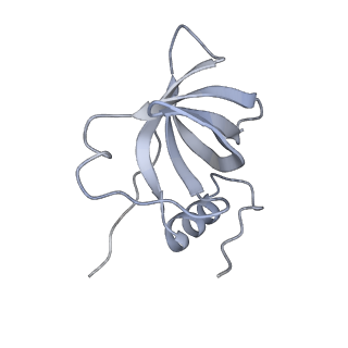 2764_3j80_i_v1-2
CryoEM structure of 40S-eIF1-eIF1A preinitiation complex