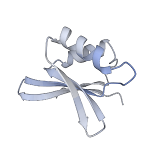 2764_3j80_j_v1-2
CryoEM structure of 40S-eIF1-eIF1A preinitiation complex