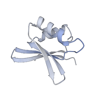 2764_3j80_j_v1-3
CryoEM structure of 40S-eIF1-eIF1A preinitiation complex