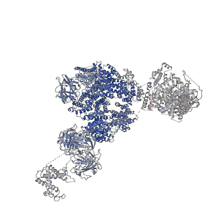2807_3j8h_A_v1-4
Structure of the rabbit ryanodine receptor RyR1 in complex with FKBP12 at 3.8 Angstrom resolution