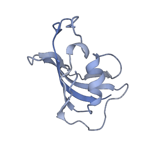 2807_3j8h_B_v1-4
Structure of the rabbit ryanodine receptor RyR1 in complex with FKBP12 at 3.8 Angstrom resolution