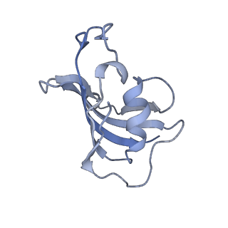 2807_3j8h_B_v1-5
Structure of the rabbit ryanodine receptor RyR1 in complex with FKBP12 at 3.8 Angstrom resolution