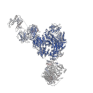 2807_3j8h_C_v1-4
Structure of the rabbit ryanodine receptor RyR1 in complex with FKBP12 at 3.8 Angstrom resolution