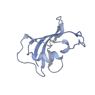 2807_3j8h_D_v1-5
Structure of the rabbit ryanodine receptor RyR1 in complex with FKBP12 at 3.8 Angstrom resolution