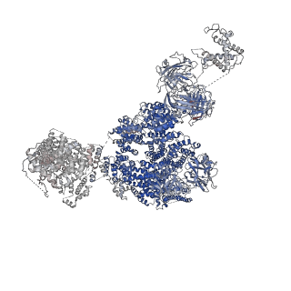 2807_3j8h_E_v1-4
Structure of the rabbit ryanodine receptor RyR1 in complex with FKBP12 at 3.8 Angstrom resolution