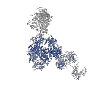 2807_3j8h_G_v1-4
Structure of the rabbit ryanodine receptor RyR1 in complex with FKBP12 at 3.8 Angstrom resolution