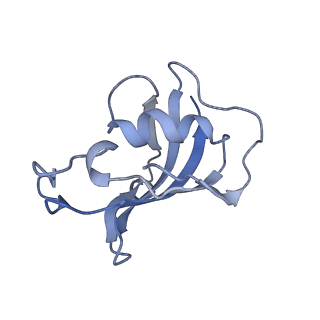 2807_3j8h_H_v1-4
Structure of the rabbit ryanodine receptor RyR1 in complex with FKBP12 at 3.8 Angstrom resolution