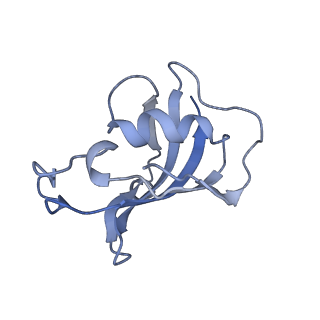 2807_3j8h_H_v1-5
Structure of the rabbit ryanodine receptor RyR1 in complex with FKBP12 at 3.8 Angstrom resolution