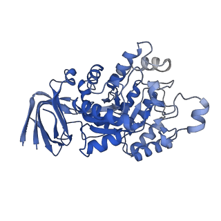 36060_8j85_A_v1-1
Cryo-EM structure of ochratoxin A-detoxifying amidohydrolase ADH3 mutant S88E in complex with ochratoxin A
