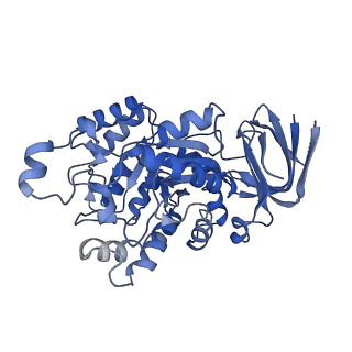 36060_8j85_C_v1-1
Cryo-EM structure of ochratoxin A-detoxifying amidohydrolase ADH3 mutant S88E in complex with ochratoxin A