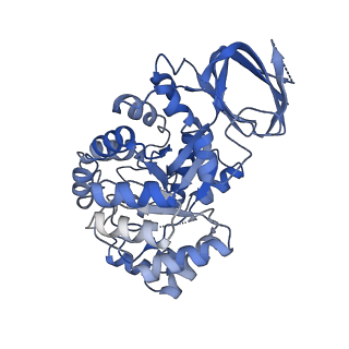 36060_8j85_E_v1-1
Cryo-EM structure of ochratoxin A-detoxifying amidohydrolase ADH3 mutant S88E in complex with ochratoxin A