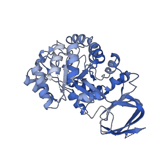 36060_8j85_F_v1-1
Cryo-EM structure of ochratoxin A-detoxifying amidohydrolase ADH3 mutant S88E in complex with ochratoxin A