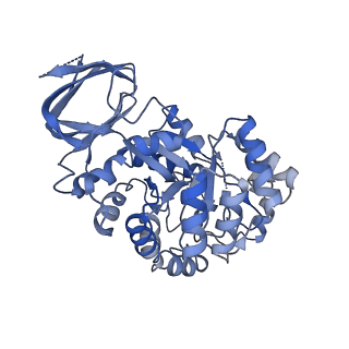 36060_8j85_H_v1-1
Cryo-EM structure of ochratoxin A-detoxifying amidohydrolase ADH3 mutant S88E in complex with ochratoxin A