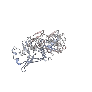 36062_8j87_A_v1-0
Asfv topoisomerase 2 - apo conformer Ia