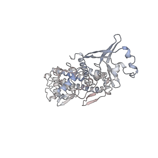 36062_8j87_B_v1-0
Asfv topoisomerase 2 - apo conformer Ia