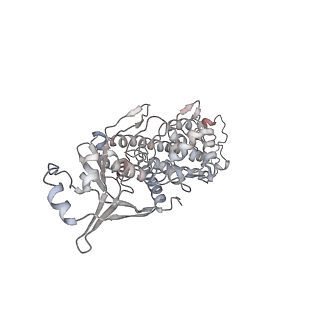 36063_8j88_A_v1-0
Asfv topoisomerase 2 - apo conformer Ib