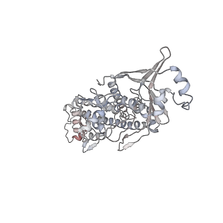 36063_8j88_B_v1-0
Asfv topoisomerase 2 - apo conformer Ib