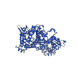 36065_8j8a_A_v1-0
Cryo-EM structure of Asfv topoisomerase 2 - apo conformer IIb