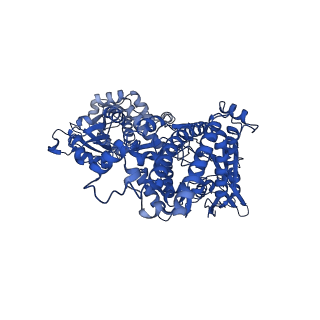 36065_8j8a_B_v1-0
Cryo-EM structure of Asfv topoisomerase 2 - apo conformer IIb