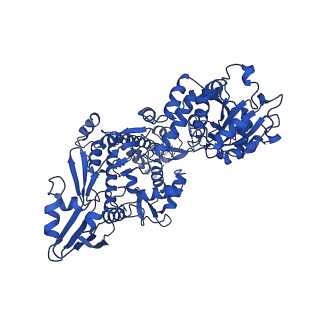 36067_8j8c_A_v1-0
Cryo-EM structure of Asfv topoisomerase 2 - apo conformer IIIb