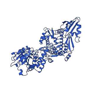 36067_8j8c_B_v1-0
Cryo-EM structure of Asfv topoisomerase 2 - apo conformer IIIb