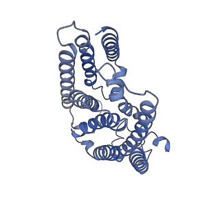 36071_8j8j_A_v1-2
Membrane bound PRTase, C3 symmetry, donor bound