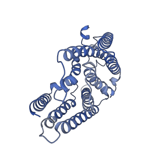 36071_8j8j_D_v1-2
Membrane bound PRTase, C3 symmetry, donor bound