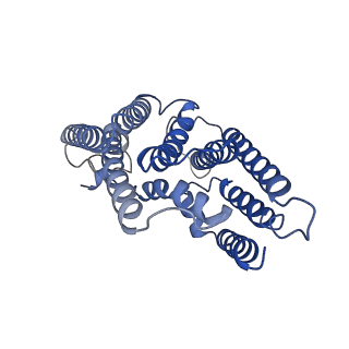 36072_8j8k_A_v1-2
Membrane bound PRTase, C3 symmetry, acceptor bound