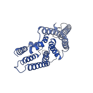 36072_8j8k_B_v1-2
Membrane bound PRTase, C3 symmetry, acceptor bound