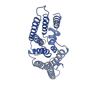 36072_8j8k_C_v1-2
Membrane bound PRTase, C3 symmetry, acceptor bound