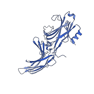 36078_8j8r_A_v1-1
Structure of beta-arrestin2 in complex with M2Rpp