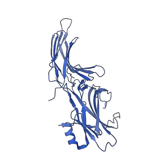 36078_8j8r_B_v1-1
Structure of beta-arrestin2 in complex with M2Rpp