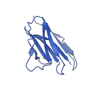 36078_8j8r_E_v1-1
Structure of beta-arrestin2 in complex with M2Rpp
