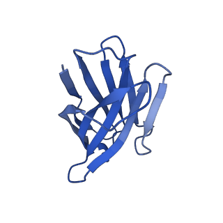 36078_8j8r_H_v1-1
Structure of beta-arrestin2 in complex with M2Rpp