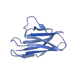 36078_8j8r_L_v1-1
Structure of beta-arrestin2 in complex with M2Rpp
