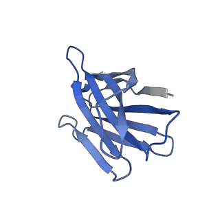 36078_8j8r_M_v1-1
Structure of beta-arrestin2 in complex with M2Rpp