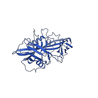 36081_8j8v_A_v1-1
Structure of beta-arrestin2 in complex with D6Rpp (Local Refine)