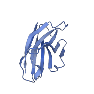 36081_8j8v_B_v1-1
Structure of beta-arrestin2 in complex with D6Rpp (Local Refine)