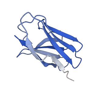 36081_8j8v_C_v1-1
Structure of beta-arrestin2 in complex with D6Rpp (Local Refine)