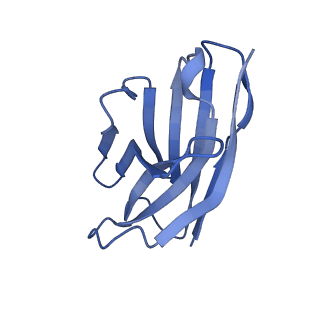 36081_8j8v_D_v1-1
Structure of beta-arrestin2 in complex with D6Rpp (Local Refine)
