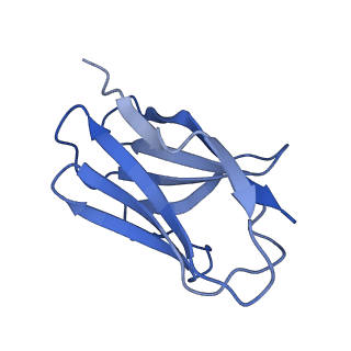36081_8j8v_E_v1-1
Structure of beta-arrestin2 in complex with D6Rpp (Local Refine)