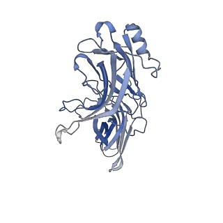 36082_8j8z_A_v1-1
Structure of beta-arrestin1 in complex with D6Rpp