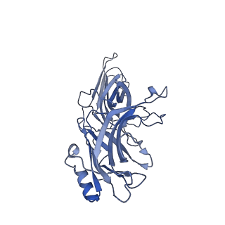 36082_8j8z_B_v1-1
Structure of beta-arrestin1 in complex with D6Rpp