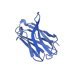 36082_8j8z_H_v1-1
Structure of beta-arrestin1 in complex with D6Rpp