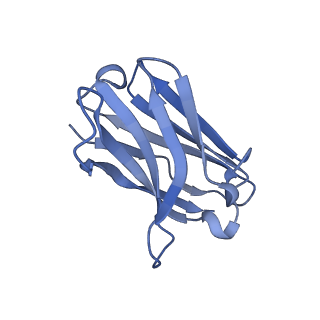 36082_8j8z_I_v1-1
Structure of beta-arrestin1 in complex with D6Rpp