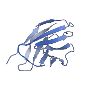 36082_8j8z_L_v1-1
Structure of beta-arrestin1 in complex with D6Rpp