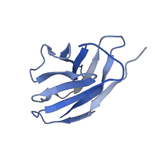 36082_8j8z_M_v1-1
Structure of beta-arrestin1 in complex with D6Rpp