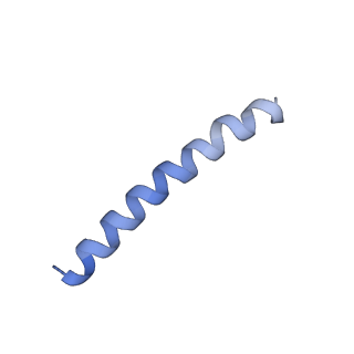 6123_3j89_B_v1-3
Structural Plasticity of Helical Nanotubes Based on Coiled-Coil Assemblies