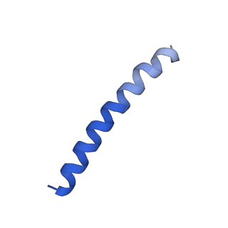 6123_3j89_F_v1-2
Structural Plasticity of Helical Nanotubes Based on Coiled-Coil Assemblies